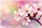 Pastel Watercolor orchid flowers. elegant soft colored orchids background. ai generated