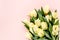 Pastel and yellow tulip flowers bouquet on pink background. Flat lay, top view. Valentine`s background. Floral pattern