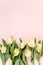 Pastel and yellow tulip flowers bouquet on pink background. Flat lay, top view. Valentine`s background. Floral pattern