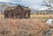 Pastoral abandoned homestead