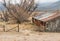 Pastoral abandoned ranch