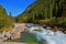 Pastoral in the Alpine mountain