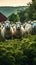 Pastoral beauty, sheep grazing harmoniously, creating a peaceful farm