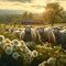 Pastoral beauty, sheep grazing harmoniously, creating a peaceful farm