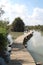 Pastoral Bridge over a Lake and Flora