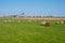 Pastoral Dutch landscape.