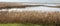 Pastoral Hula Lake