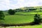 Pastoral idyllic in Wensleydale, in the Yorkshire Dales, England.