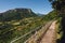 Pastoral Landscape in French Alps of Grenoble