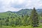 Pastoral mountain scenery in Eastern Carpathians, Bucovina, Romania