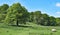 Pastoral paradise, near Stannage Edge, in Haversage.