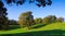 Pastoral scene in Lancashire.