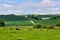 A Pastoral View at Houghton in England`s South Downs