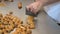 A pastry chef is Cutting traditional hazelnuts cookies 26 HD FDV