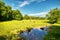 A pasture with black angus cattle, a stream, and a blue sky.