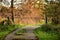 Pasture gate blocks a small concrete road