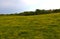 Pasture Gently Sloping Under Cloudy Sky