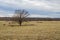 Pasture with hay bails and an isolated tree.