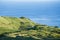 Pasture landscape of Pico island, Azores