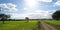 Pasture of oaks and green meadow with blue sky splashed with clouds and a path