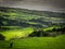 Pasture in Sao Miguel