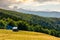 Pasture and shed on the hillside