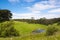 Pasture in South Australia, typical rural landscape near Great Ocean Road