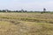 Pasture with three windmills.