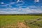 Pastureland in Paraguay overlooking the Ybytyruzu Mountains.