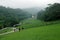 The pastures filled with green grassland are full of greenery, and the mist in the distance makes the scenery more secluded and pl