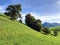 Pastures and meadows on the slopes over the Lake Lucerne or Vierwaldstaetersee lake Vierwaldstattersee and Alpnachersee Lake