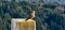 Patagonia Bird