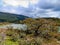 patagonia nature in tierra del fuego