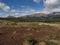 patagonia nature in tierra del fuego