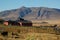 Patagonian Farmhouse