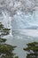 Patagonian landscape with glacier and trees