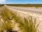 Patagonian route in Argentina, asphalt and dirt