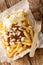 Patatje Oorlog Dutch War Fries topped with mayonnaise a thick Indonesian style peanut sauce, and raw onions closeup in the plate.