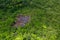 Patch of forest burnt to the ground