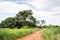 Patch through veld among Acasia trees and a cloudy sky