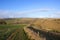 Patchwork English landscape in winter