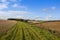 Patchwork fields and footpath