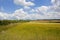 Patchwork fields and ripening barley landscape