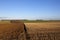 Patchwork landscape in autumn