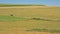 Patchwork of meadows in the Luexmbourg countryside