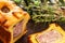 Pate en croute or pÃ¢tÃ© en croÃ»te with rosemary twig and green olives on branch with leaves over a dark wooden cutting board and