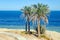 A path on an abandoned waterfront in a resort in Egypt