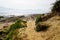 Path access dune sandy beach low tide in vendee atlantic ocean France