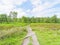 Path across open moorland to a distant woodland