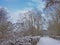 Path along bare winter trees and shrubs covered in snow